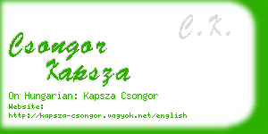 csongor kapsza business card